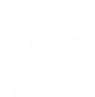 Orvian Group